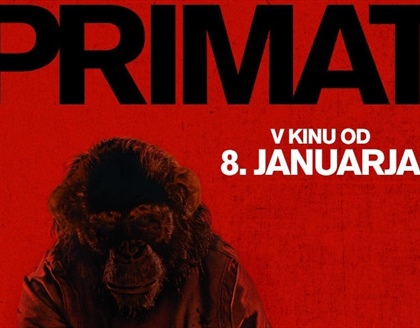 KINO: Primat
